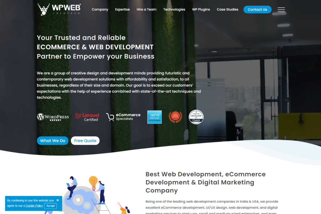 WPWeb Infotech