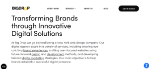 Top 10 B2B Website Development Agencies in the USA 3 Screenshot 2025 10 03 020411